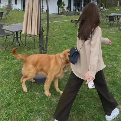 你是我目光里的星